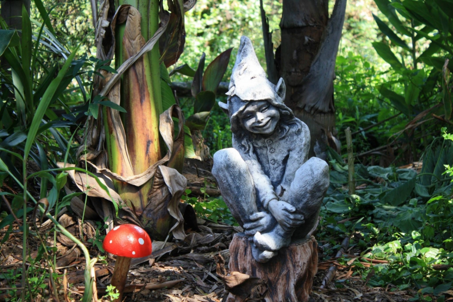 The Blue Lotus Water Garden