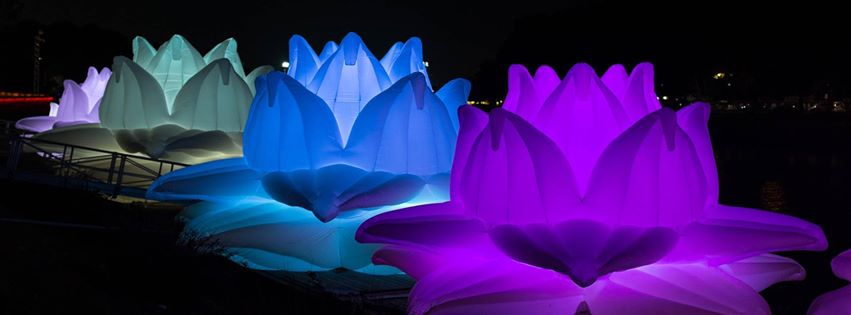 White night Melbourne 2015